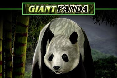 Giant Panda Slot